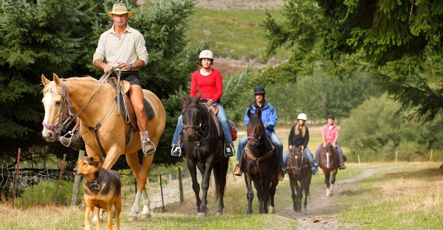 Queenstown: Walter Peak Horse Trek & Queenstown Lake Cruise - Why this Walter Peak outing works so well