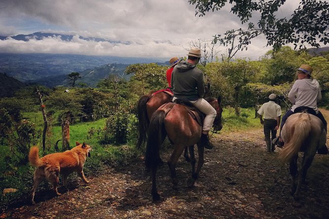 Queveri Horseback Riding Tours - Key points at a glance