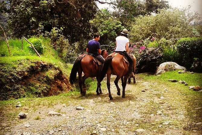 Queveri Horseback Riding Tours - Why this horseback ride feels different