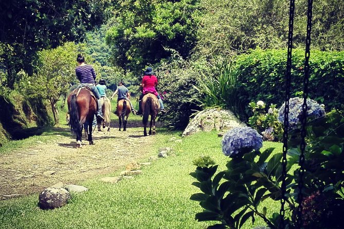 Queveri Horseback Riding Tours - The viewpoint, four volcanoes, and Piedras del Alto