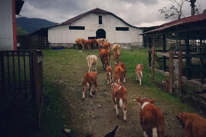 Queveri Horseback Riding Tours - Arriving at Finca Agropecuaria Queveri