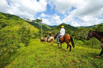 Rainforest Magic Horseback Riding Waterfall Tour Private Park Setting