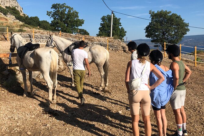 Ranch 22 Podstrana, " Horse riding 12 km from SPLIT " - Leaving Split for the hills above Podstrana