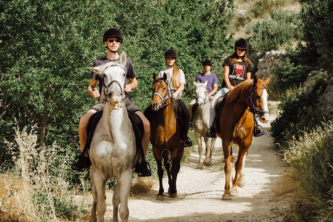 Ranch 22 Podstrana, " Horse riding 12 km from SPLIT " - Is $105 a fair price?