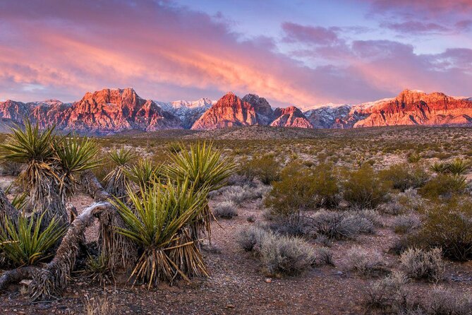 Red Rock Canyon Sunset Horseback Ride and Barbeque Dinner - Leaving Las Vegas for Red Rock Canyon