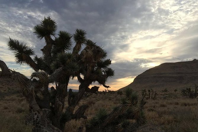 Red Rock Canyon Sunset Horseback Ride and Barbeque Dinner - The fireside BBQ comes after the ride