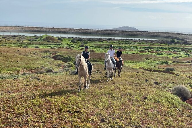 Relaxing Horse Riding Tour in Gran Canaria - A gentle ride rather than a fast trail adventure