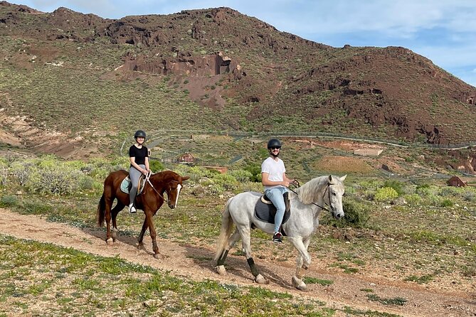 Relaxing Horse Riding Tour in Gran Canaria - Horse care and the quality of instruction