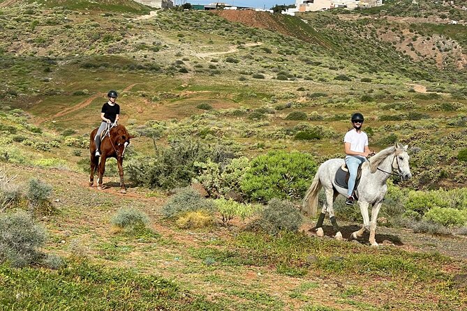 Relaxing Horse Riding Tour in Gran Canaria - The pace and scenery may not suit everyone