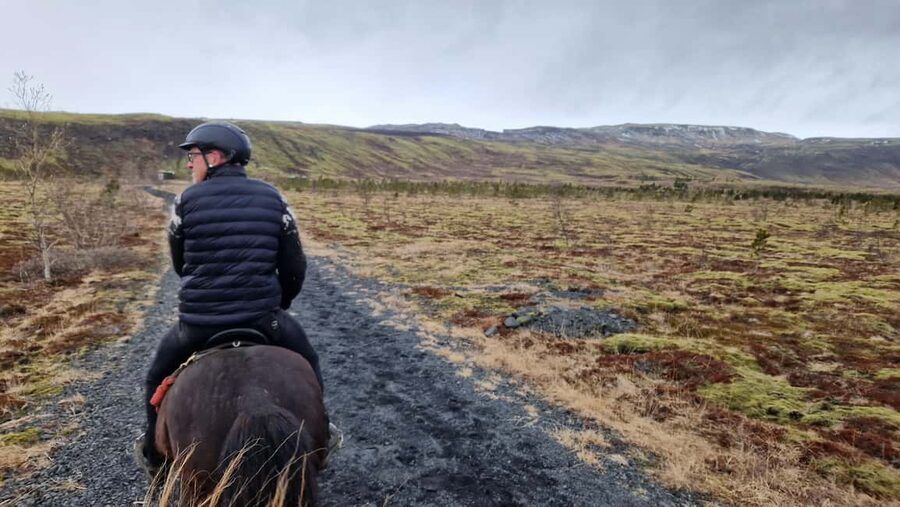 Reykjadalur: Horseback Riding Tour for Families & Beginners - Why the Icelandic horses matter