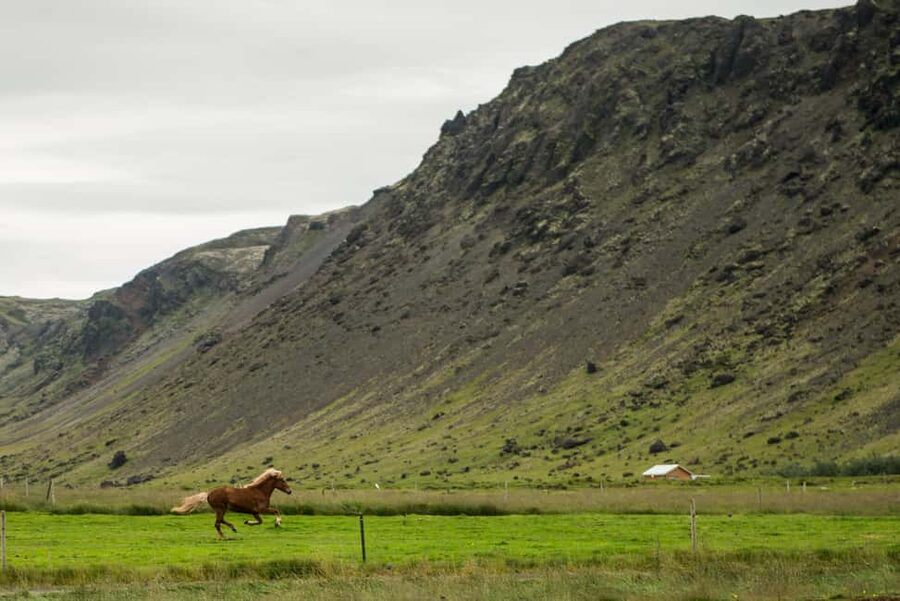 Reykjadalur: Horseback Riding Tour for Families & Beginners - Rain gear, winter suits, and what to wear