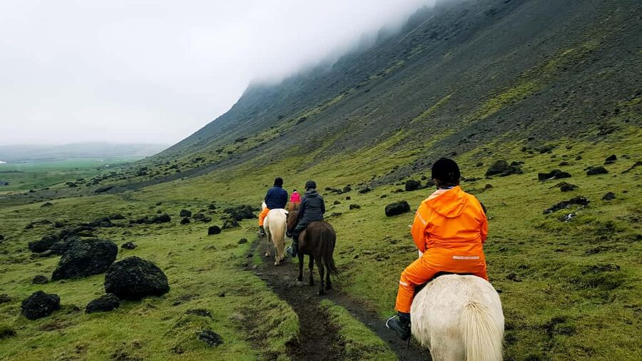 Reykjadalur: Horseback Riding Tour for Families & Beginners - Cancellation and planning details