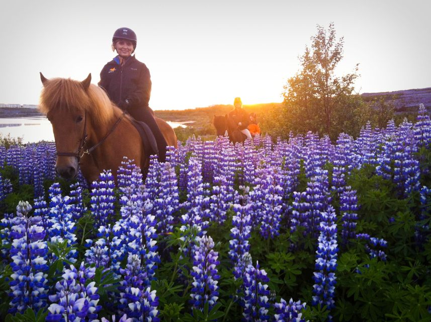 Reykjavik: Evening Sleipnir Horse Riding Tour with Pickup - Key points to know before you book