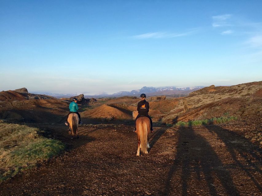 Reykjavik: Evening Sleipnir Horse Riding Tour with Pickup - Riding Icelandic horses close to Reykjavík