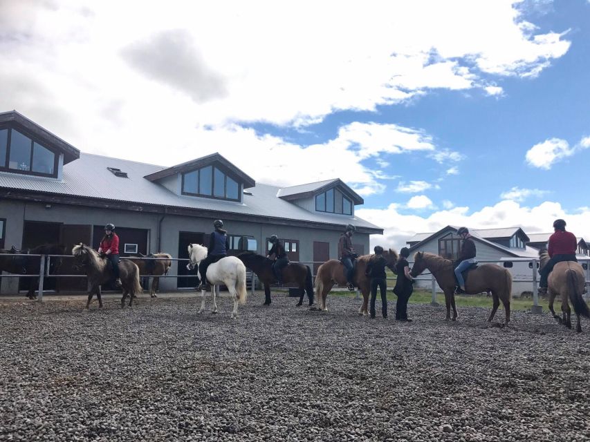 Reykjavik: Evening Sleipnir Horse Riding Tour with Pickup - Tea, coffee, hot chocolate, and kleina after the ride