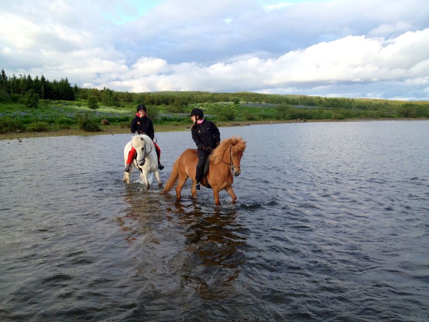 Reykjavik: Evening Sleipnir Horse Riding Tour with Pickup - Who will enjoy this ride most?