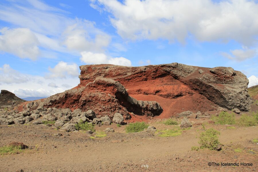 Reykjavík: Horse Riding Tours - Key points to know before you ride