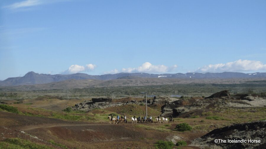 Reykjavík: Horse Riding Tours - Riding through Redhill and volcanic country