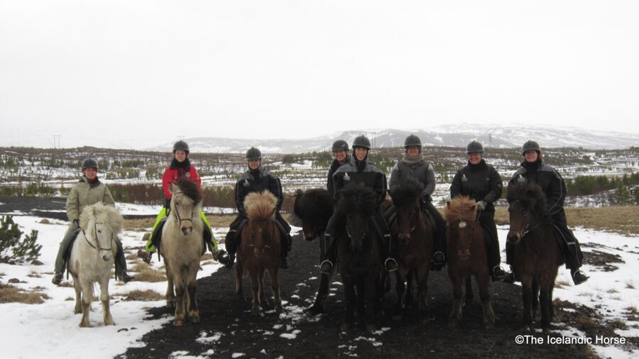 Reykjavík: Horse Riding Tours - What makes the small group useful