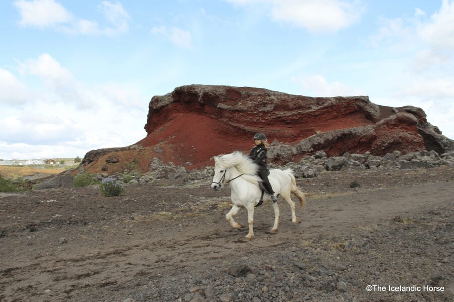 Reykjavík: Horse Riding Tours - Clothing and comfort in Icelandic weather
