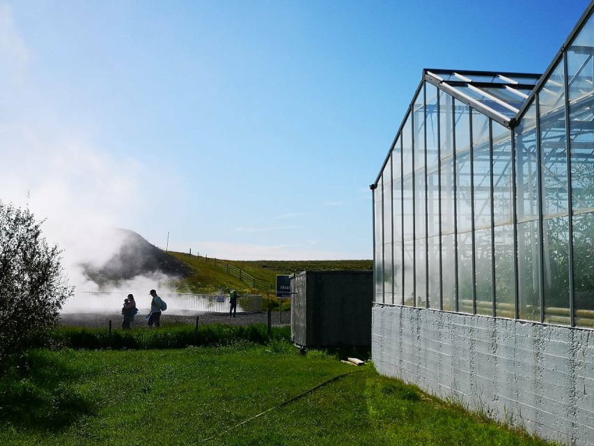 Reykjavik: Lava Cave, Hot Springs, Horses & Waterfalls Tour - Who should book this West Iceland tour?