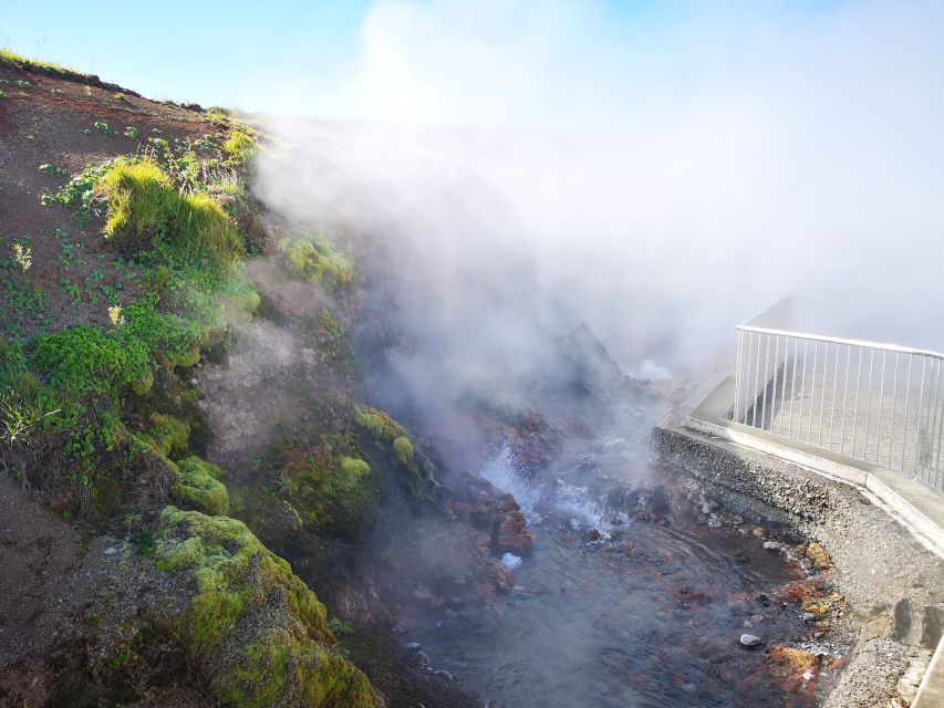 Reykjavik: Lava Cave, Hot Springs, Horses & Waterfalls Tour - Is $222 a fair price?