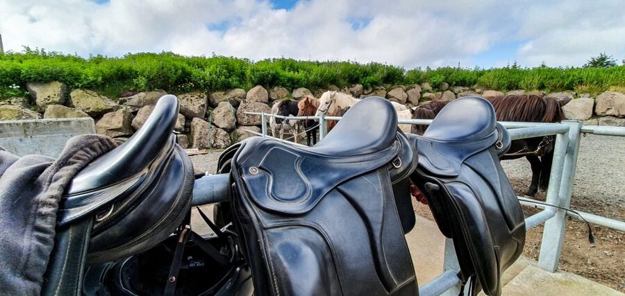 Reykjavik: Red Lava Horse Riding Tour - Photo stops, red rock, and hot drinks