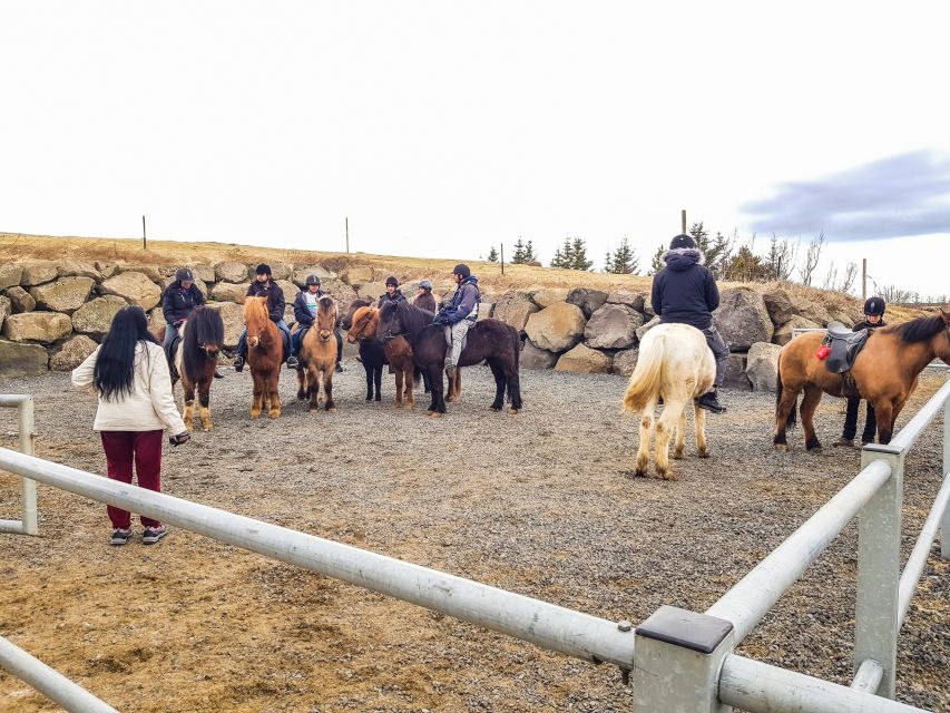 Reykjavik: Red Lava Horse Riding Tour - Weather, clothing, and comfort