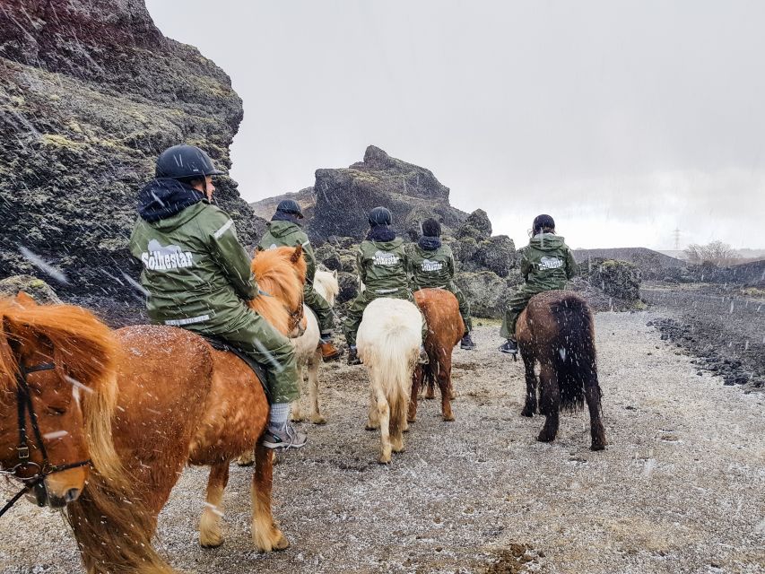 Reykjavik: Red Lava Horse Riding Tour - Meeting the horses at Sólhestar