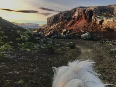 Small-Group Horse Volcano Riding Tour with Pickup