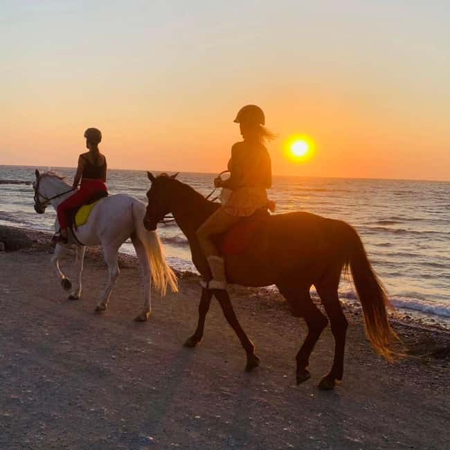 Rhodes Island: Horseback Riding at the Beach During Sunset - Meeting the horses beneath the trees