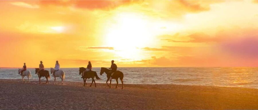 Rhodes Island: Horseback Riding at the Beach During Sunset - Why sunset timing matters on Rhodes