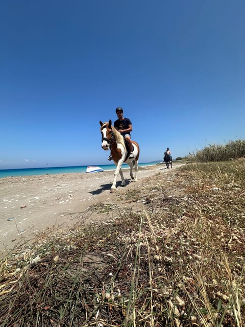 Rhodes: Seaside Horseback Riding Experience - Key points at a glance