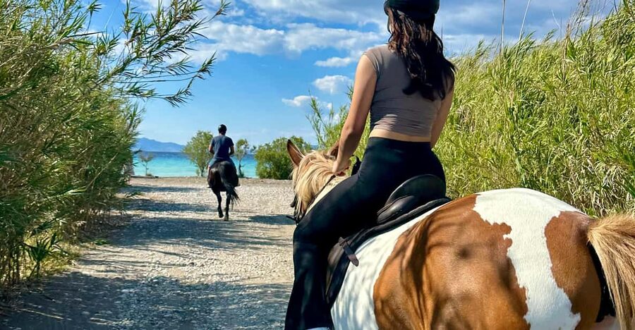 Rhodes: Seaside Horseback Riding Experience - Sunset rides and the best time to book