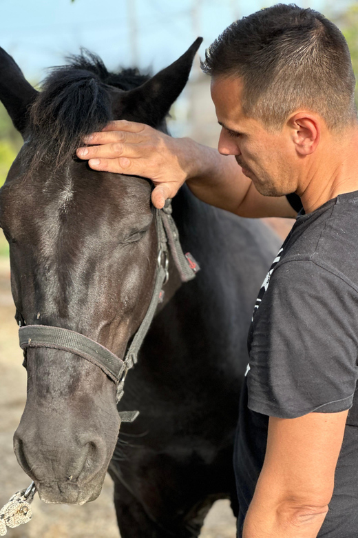 Rhodes: Seaside Horseback Riding Experience - The guides make the ride accessible