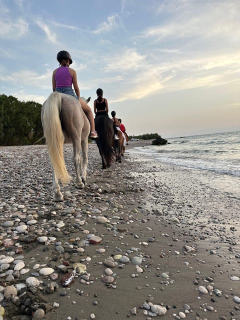 Rhodes: Seaside Horseback Riding Experience - Is $94 a fair price?