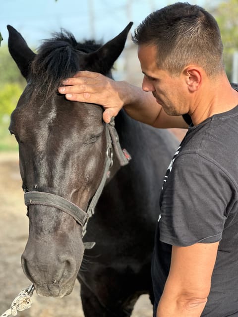 Rhodes: Seaside Horseback Riding Experience - Who should book this ride?