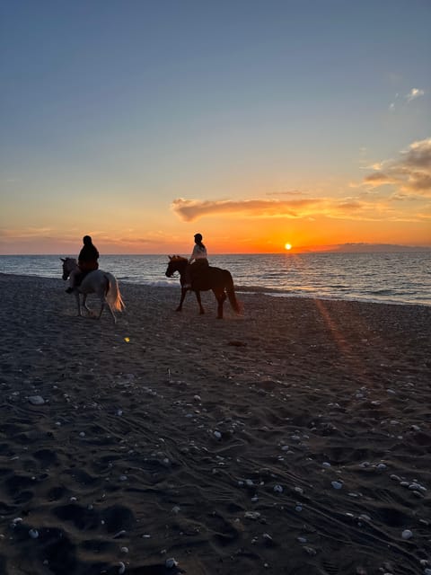 Rhodes: Seaside Horseback Riding Experience - What the one-hour ride feels like