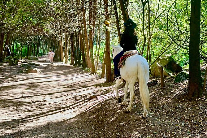 Ride Horses, Learn to Cook with Locals in Mexico City - From Condesa streets to a village saddle