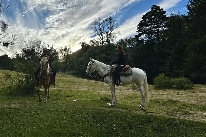 Ride Horses, Learn to Cook with Locals in Mexico City - The people who shape the day
