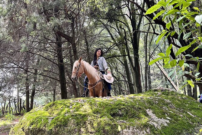 Ride Horses, Learn to Cook with Locals in Mexico City - The ride home and the full eight-hour rhythm