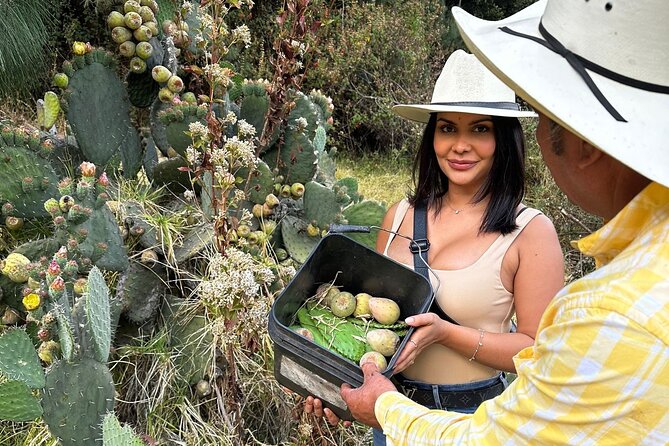 Ride Horses, Learn to Cook with Locals in Mexico City - Should you book Ride Horses, Learn to Cook with Locals?