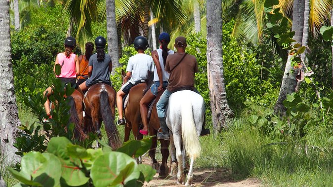 Ride Horses on the Beach - Riding through the Samana countryside