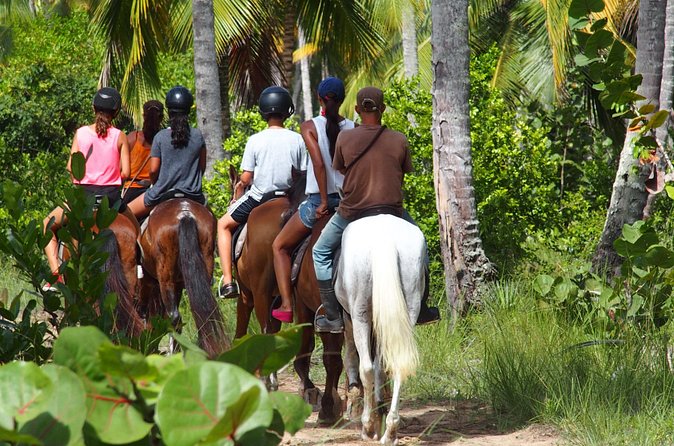 Ride Horses on the Beach - Guides, horses, and the level of support