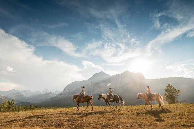 Ridge Ride 2-Hour Horseback Trail Ride in Kananaskis - Key points to know before you ride