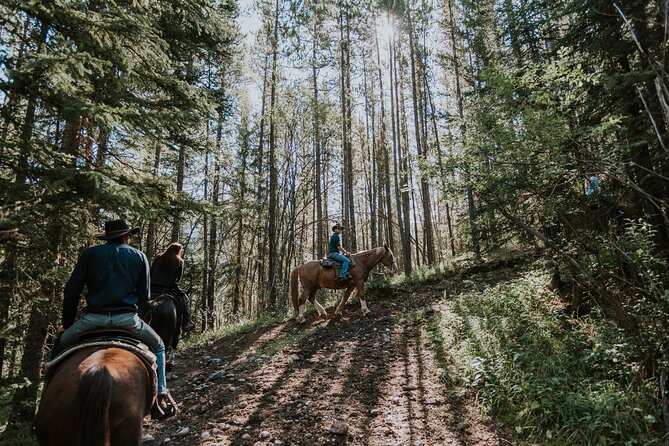 Ridge Ride 2-Hour Horseback Trail Ride in Kananaskis - What the horses and riding pace are really like