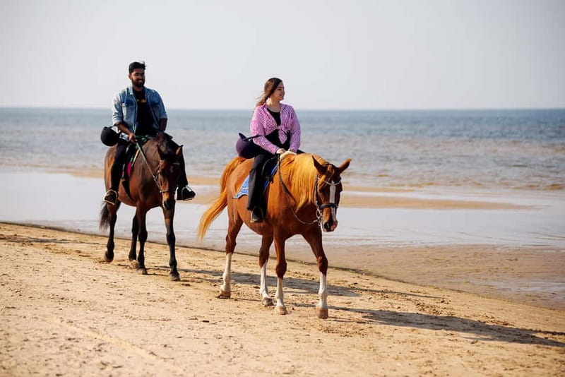 Riga Horse Riding tour along the Beach - Walking through the pine forest and dunes