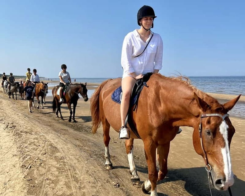 Riga Horse Riding tour along the Beach - Why the private format matters
