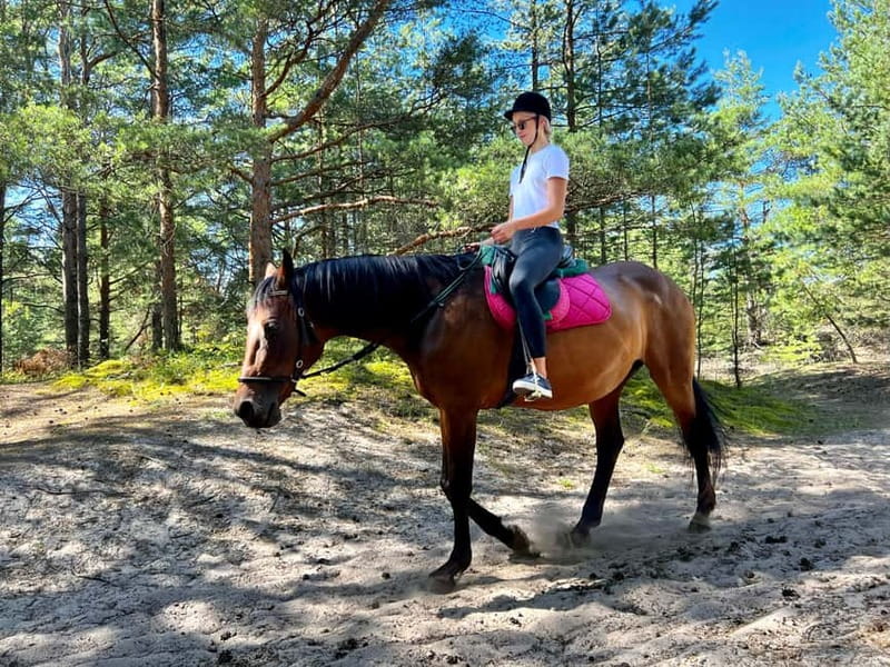 Riga Horse Riding tour along the Beach - Who will enjoy this Riga horse ride most
