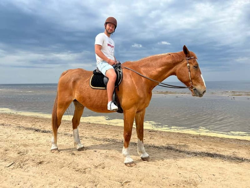 Riga Horse Riding tour along the Beach - Meeting the horses and preparing for the ride